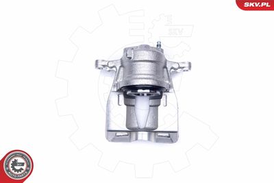 Brake Caliper 42SKV232