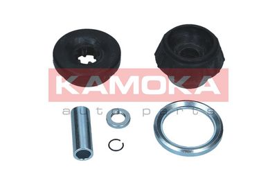 Repair Kit, suspension strut support mount 209084