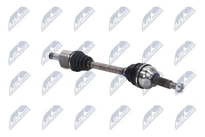 PLANETARA NTY NPWFR073 11