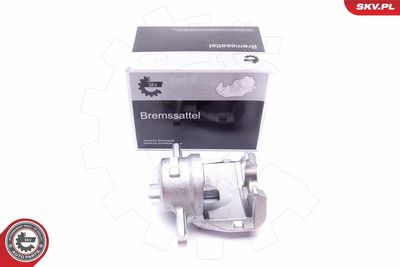 Brake Caliper 45SKV772