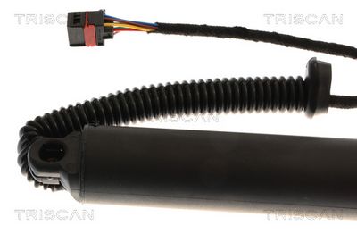 AMORTIZOR PORTBAGAJ TRISCAN 871043313 1