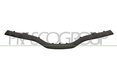 ZIER-/SCHUTZLEISTE KüHLERGITTER