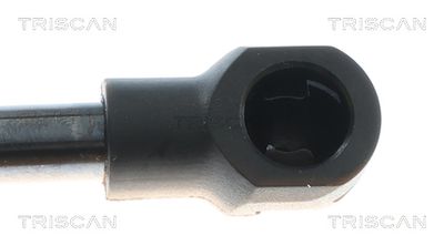 AMORTIZOR PORTBAGAJ TRISCAN 871043306 2