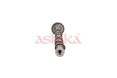AX CU CAME ASHIKA 16HY006 2