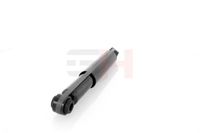 AMORTIZOR GH GH333666 43