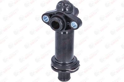 FLANSA LICHID RACIRE BIRTH 81773 8