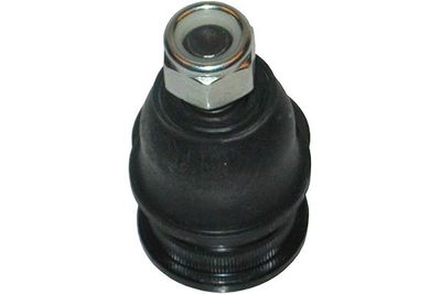 Kavo Parts Šarnyras / girgždukas