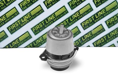 окачване, двигател FIRST LINE FEM4306