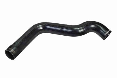 FURTUN EAR SUPRAALIMENTARE