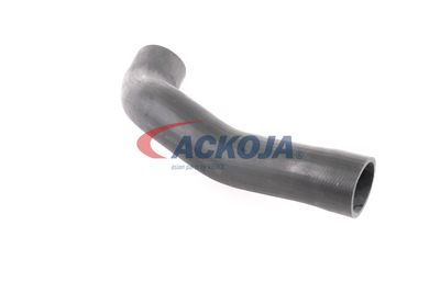 FURTUN EAR SUPRAALIMENTARE ACKOJA A379600 42