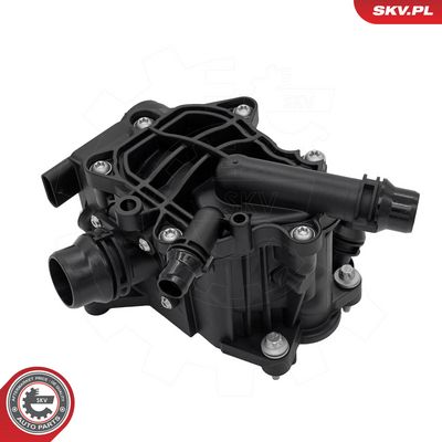 ESEN SKV - Termostat chladenia BMW , 20SKV282