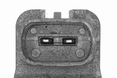 INCUIETOARE HAION ACKOJA A26850029 2