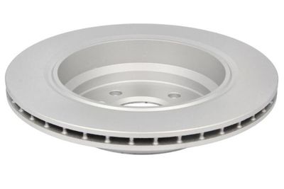 Brake disc Achter Links/Rechts PERFORMANCE (gecoat  met een hoog koolzuurgehalte) past: BMW 5 (E39) 2.0-4.4 09.95-05.04