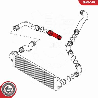 FURTUN EAR SUPRAALIMENTARE ESEN SKV 24SKV003 2