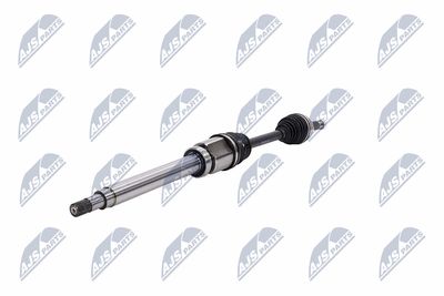 PLANETARA NTY NPWFR054 2