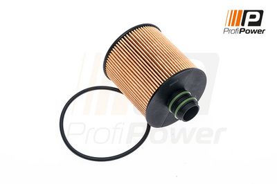 alyvos filtras 1F0100 ProfiPower