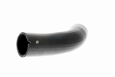 FURTUN EAR SUPRAALIMENTARE VAICO V240715 4