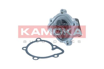 Water Pump, engine cooling T0311