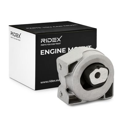 окачване, двигател RIDEX 247E1256