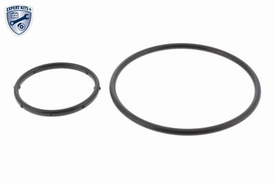 POMPă DE APă RăCIRE MOTOR ACKOJA A520704 1