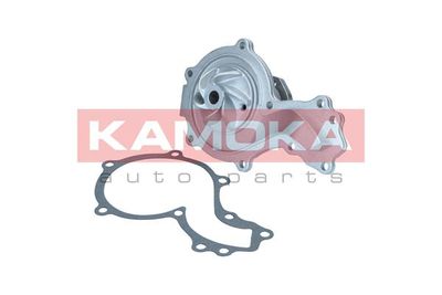 Water Pump, engine cooling T0044