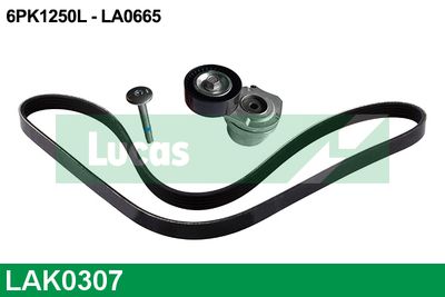 SET CUREA TRANSMISIE CU CANELURI