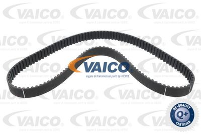 Зубчатый ремень VAICO V24-0991 для FORD KA