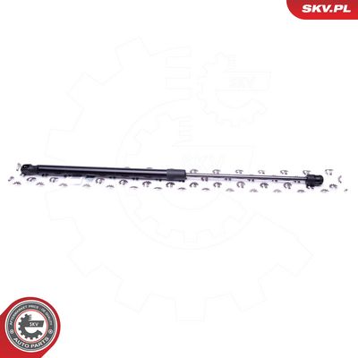 Dujinė spyruoklė, bagažinė