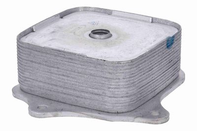 RADIATOR ULEI ULEI MOTOR ACKOJA A26600009 3