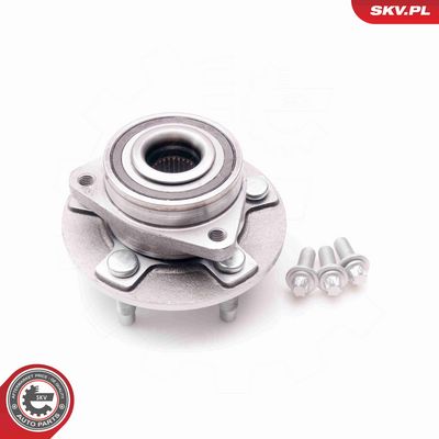 SET RULMENT ROATA ESEN SKV 29SKV107 1