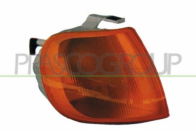 SEMNALIZATOR PRASCO VG0164103