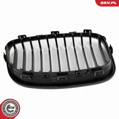 GRILA RADIATOR ESEN SKV 66SKV014 8