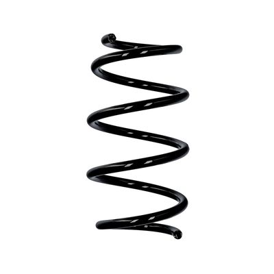 ARC SPIRAL EIBACH R19597 25