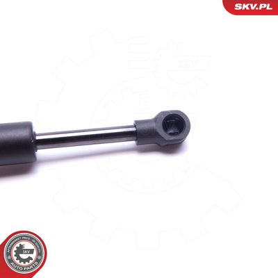 Dujinė spyruoklė, gaubtas