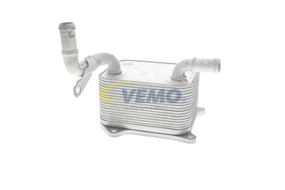 RADIATOR ULEI ULEI MOTOR VEMO V15600013 14