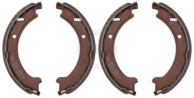 Brake Shoe Set, parking brake 8925