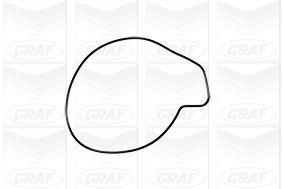 POMPă DE APă RăCIRE MOTOR GRAF PA1016 1