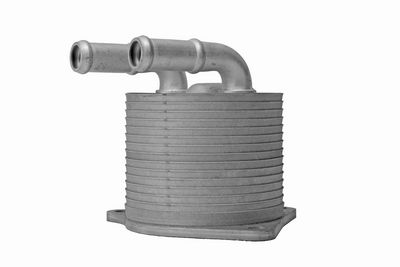ÖLKüHLER AUTOMATIKGETRIEBE VEMO V20600095 5