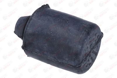 BURDUF CAUCIUC SUPORT MOTOR BIRTH 52660 5