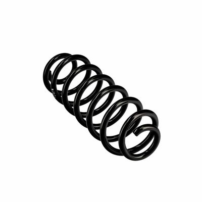 ARC SPIRAL EIBACH R10319 23