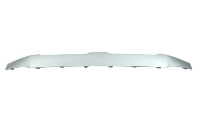 Grillestrip vooraan Voor (Bodem, zilver) past: BMW X3 G01 08.21-