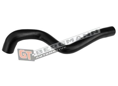 GT-BERGMANN Automotive - Hadica plniaceho vzduchu (hadica turba) RENAULT , GT52-655