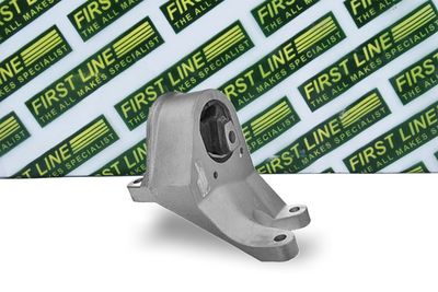 окачване, двигател FIRST LINE FEM4012