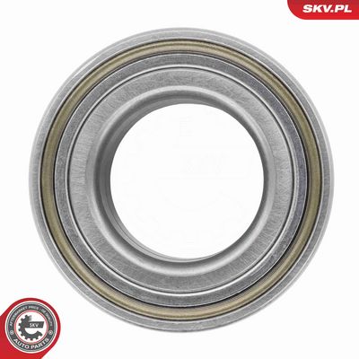 SET RULMENT ROATA ESEN SKV 85SKV033 3