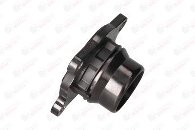 FLANSA LICHID RACIRE BIRTH 81798 11