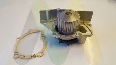 POMPă DE APă RăCIRE MOTOR MOTAQUIP LVWP1017 1
