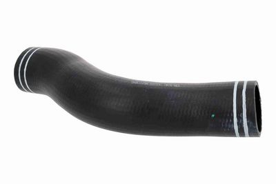 FURTUN EAR SUPRAALIMENTARE ACKOJA A380297 3
