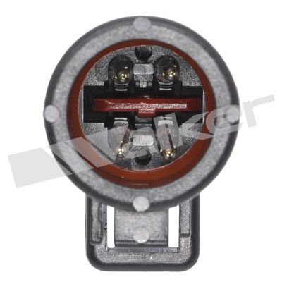 LAMBDASONDE WALKER PRODUCTS 25024301 2