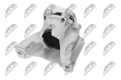 SUPORT MOTOR NTY ZPSHD123 19