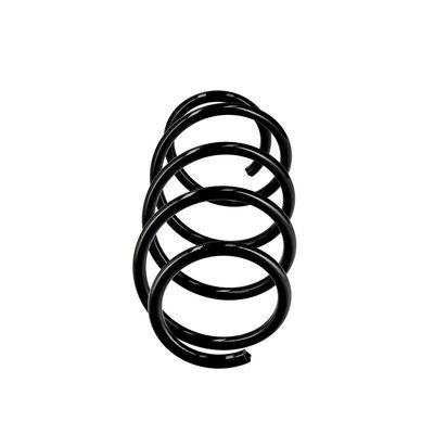 ARC SPIRAL EIBACH R10165 1